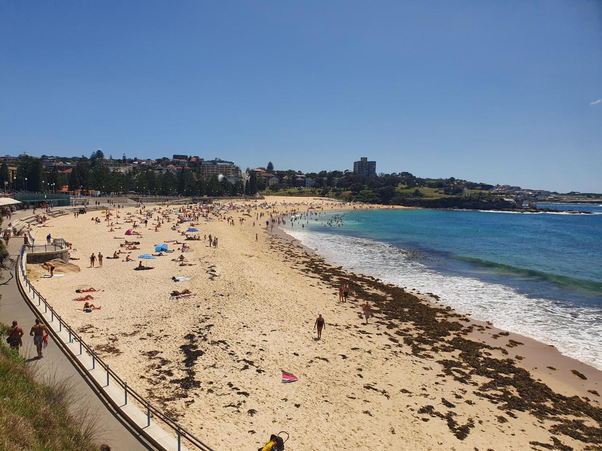 Podbed Coogee Beachside Sidney Exterior foto